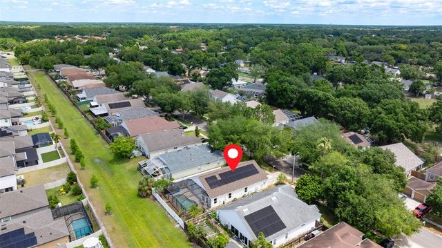 11708 CARROLLWOOD COVE DRIVE, Tampa, FL 33624
