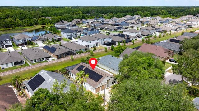 11708 CARROLLWOOD COVE DRIVE, Tampa, FL 33624