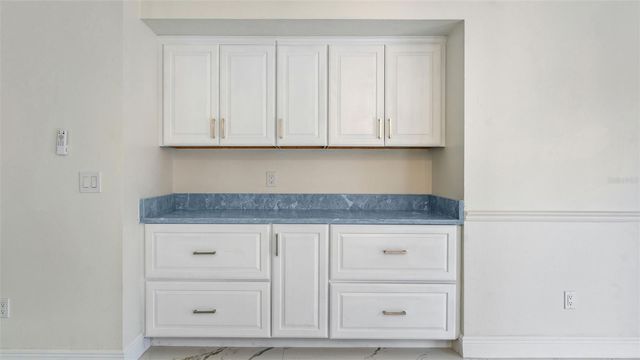 11708 CARROLLWOOD COVE DRIVE, Tampa, FL 33624