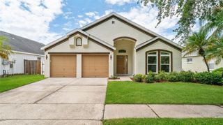11708 CARROLLWOOD COVE DRIVE, Tampa, FL 33624