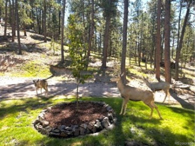 4125 Walker Vista Hts, Colorado Springs, CO 80908