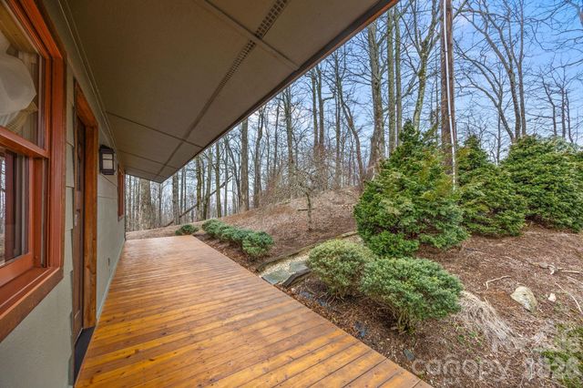 6773 Pinnacle Mountain Road, Zirconia, NC 28790