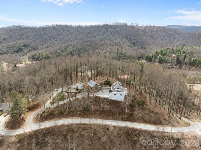 6773 Pinnacle Mountain Road, Zirconia, NC 28790