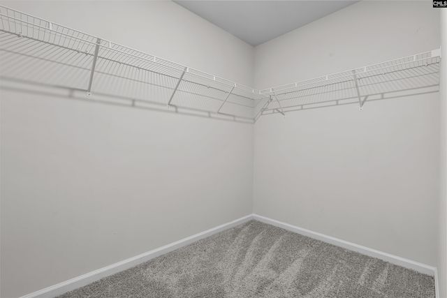 426 N High Duck Trail, Blythewood, SC 29016