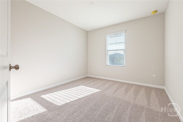 46 Bull Run, Richmond Hill, GA 31324