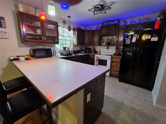 5911 SE 127TH PLACE, Belleview, FL 34420