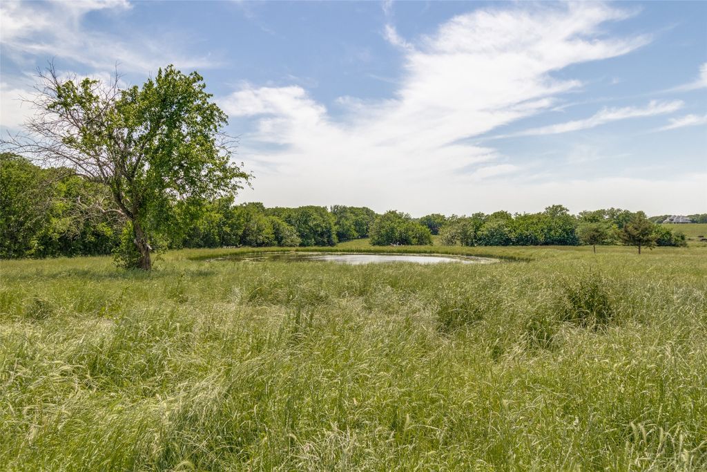 7163 CR 573, Blue Ridge, TX 75424