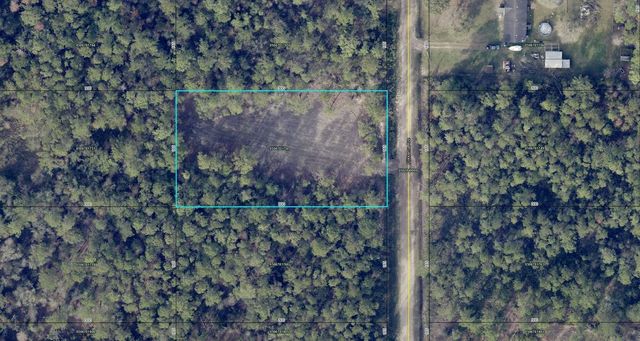 10695 Flikkema Ave, Hastings, FL 32145