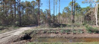 10695 Flikkema Ave, Hastings, FL 32145