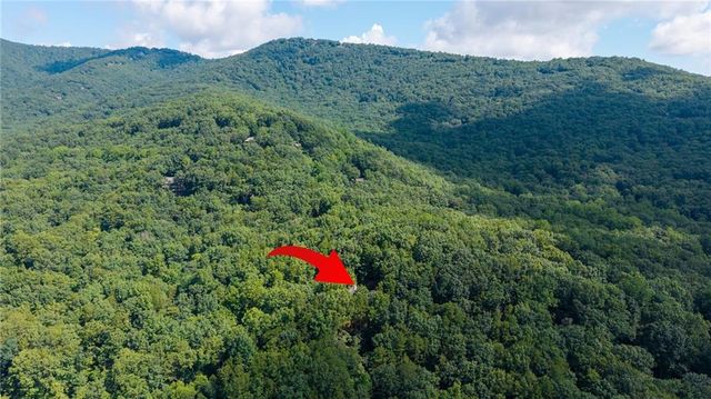 51 Trout Lily Trail, Big Canoe, GA 30143