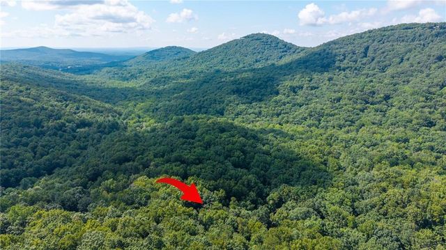 51 Trout Lily Trail, Big Canoe, GA 30143