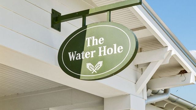 298 Harvest Point Blvd, Spring Hill, TN 37174