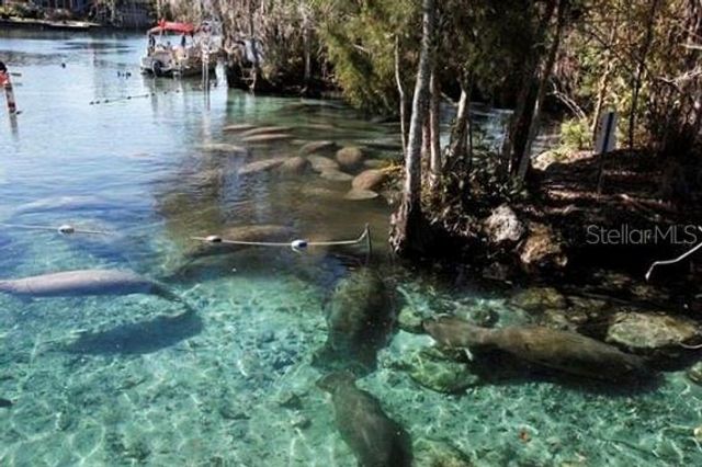 7790 N HAMILTON ROAD, Dunnellon, FL 34433