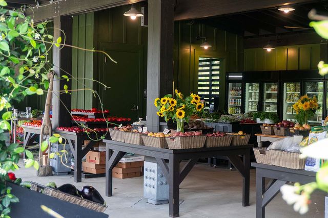 2724 Tidal Lane, Johns Island, SC 29455