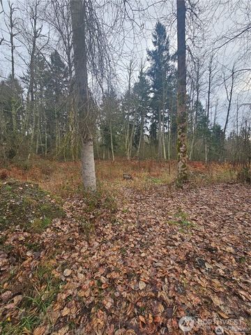 25905 96th Avenue E, Graham, WA 98338