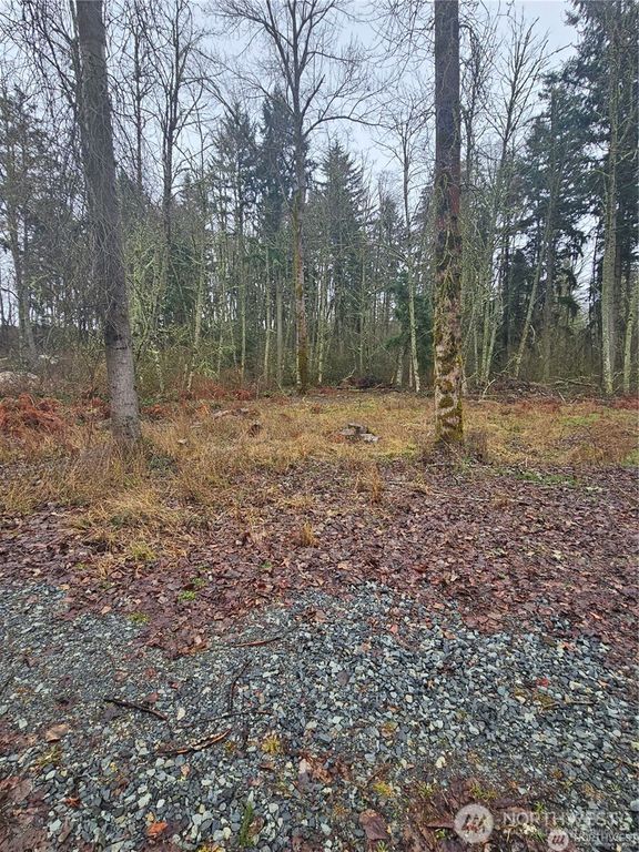 25905 96th Avenue E, Graham, WA 98338