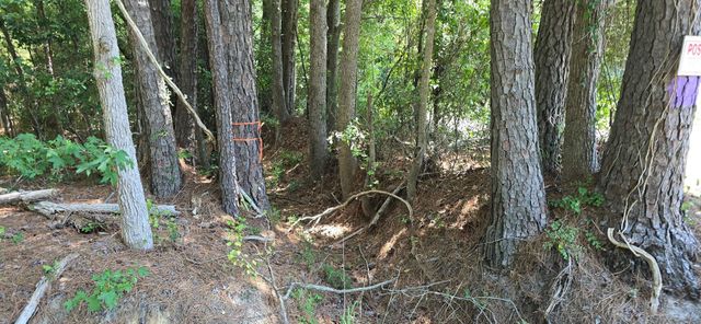 TBD4 Highway 111, Little River, SC 29566