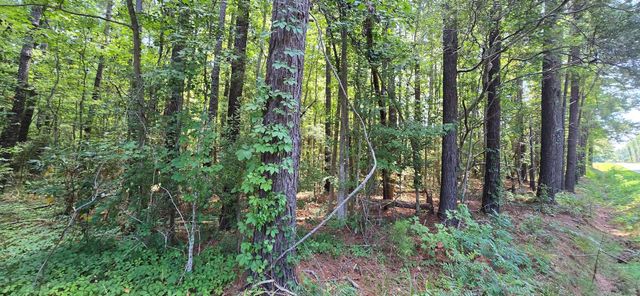 TBD4 Highway 111, Little River, SC 29566