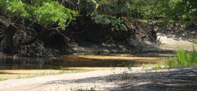 TBD4 Highway 111, Little River, SC 29566