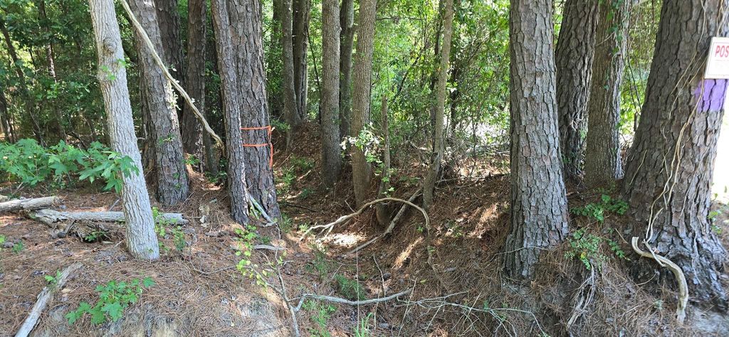 TBD4 Highway 111, Little River, SC 29566 — photo 3