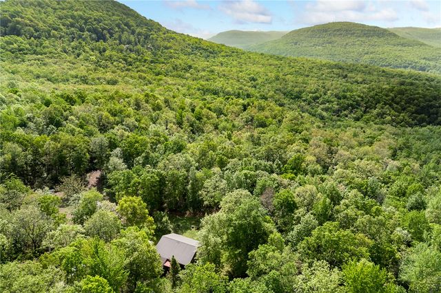 4459 NC 8650, Jasper, AR 72641