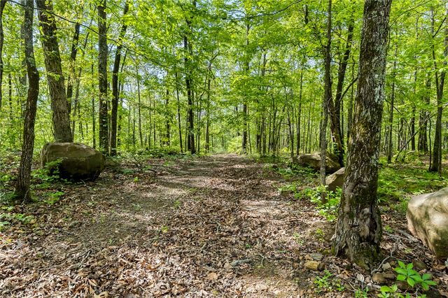 4459 NC 8650, Jasper, AR 72641