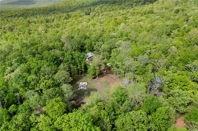 4459 NC 8650, Jasper, AR 72641