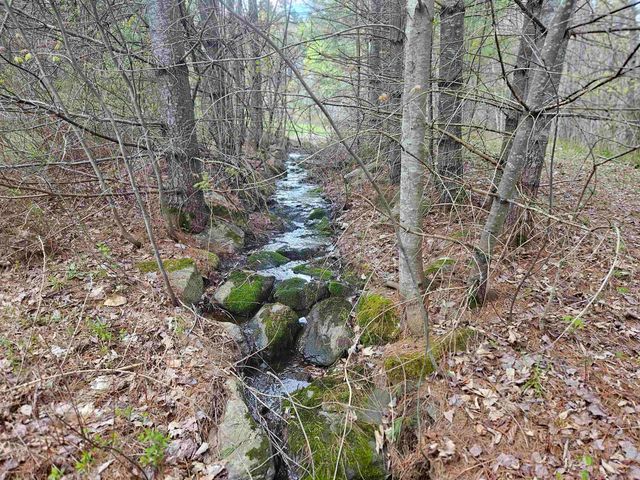 25 Yeaw Road, Dover, VT 05341