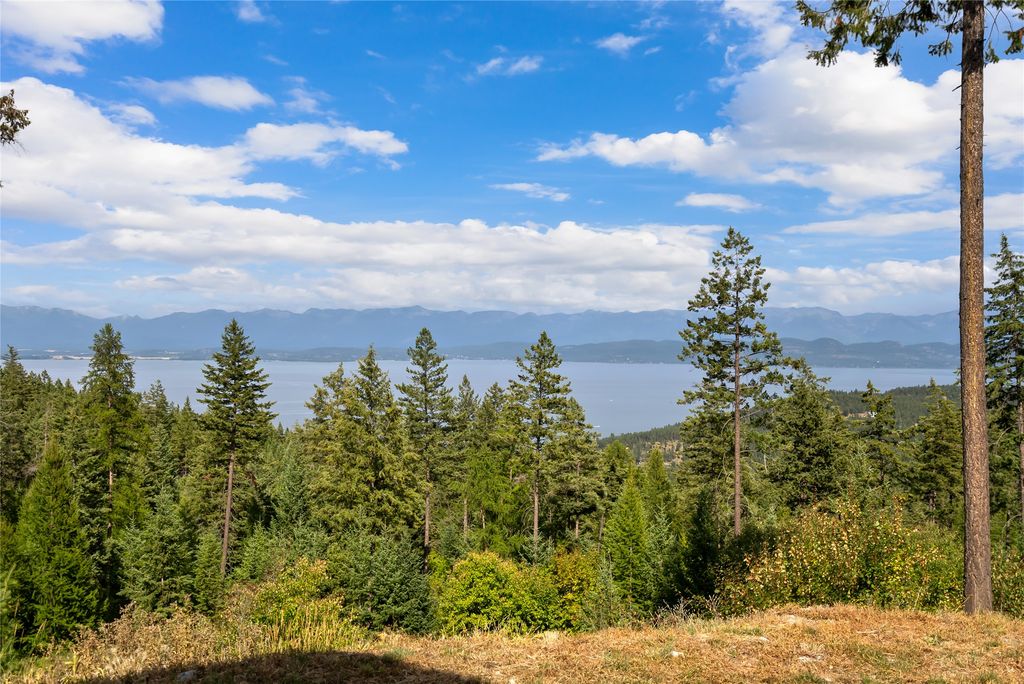 360 Ridge Line Drive, Lakeside, MT 59922 photo 40