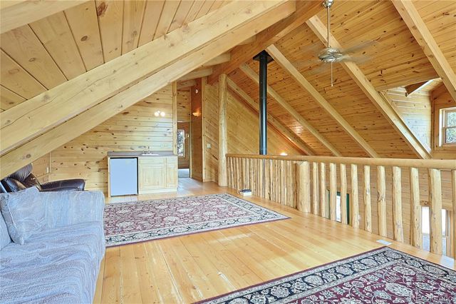 5527 County Road 5 Road, Divide, CO 80814
