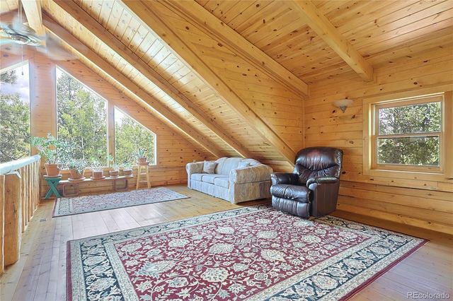 5527 County Road 5 Road, Divide, CO 80814