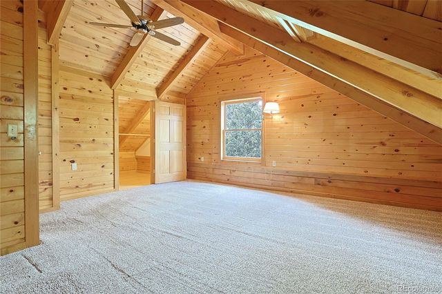 5527 County Road 5 Road, Divide, CO 80814