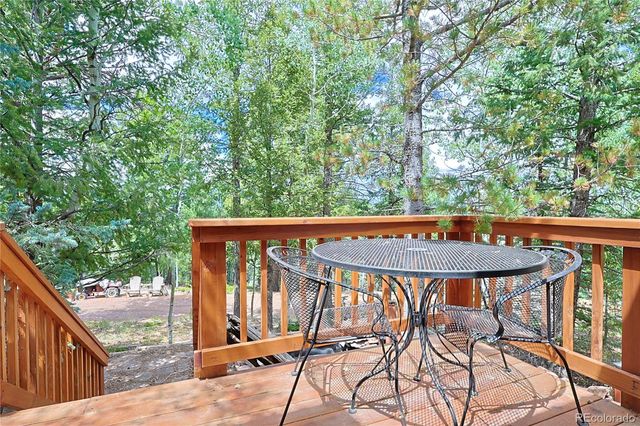 5527 County Road 5 Road, Divide, CO 80814