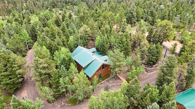 5527 County Road 5 Road, Divide, CO 80814
