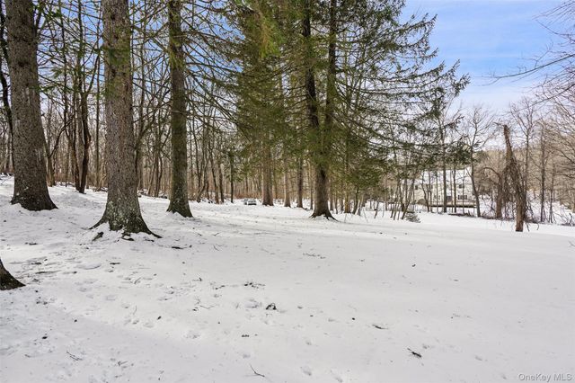 22 Raspberry Lane, Carmel, NY 10512