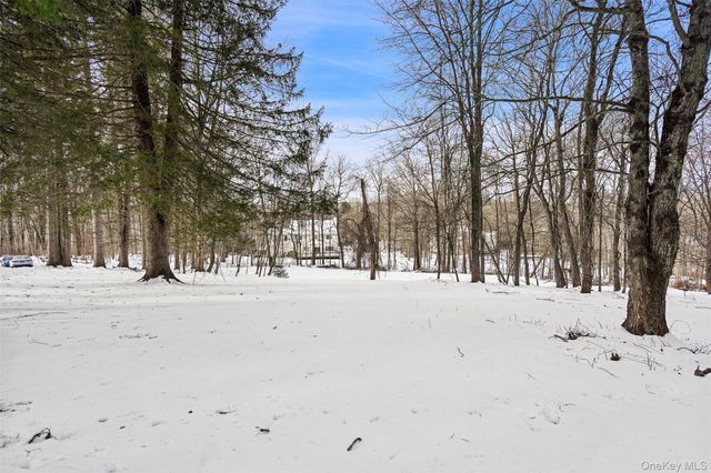 22 Raspberry Lane, Carmel, NY 10512