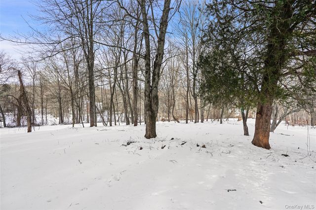 22 Raspberry Lane, Carmel, NY 10512