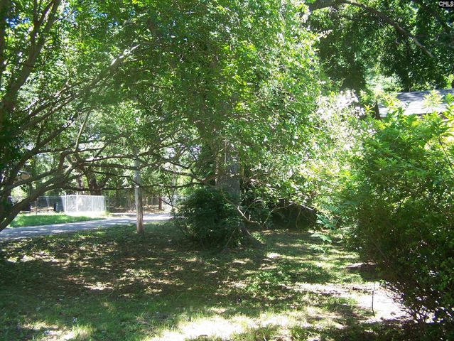 802 Hudson Street, Winnsboro, SC 29180
