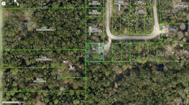 4809 MERLIN CIRCLE, Ridge Manor, FL 33523