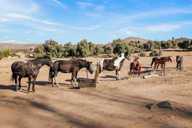 9018 Vernal Ln, Descanso, CA 91916