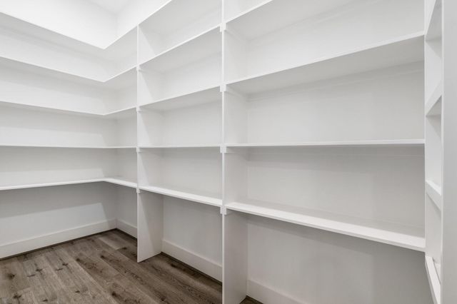 245 E Blue Heron Drive, Montgomery, TX 77316