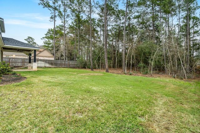 245 E Blue Heron Drive, Montgomery, TX 77316