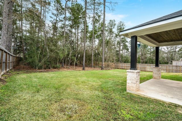 245 E Blue Heron Drive, Montgomery, TX 77316