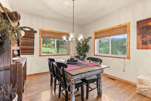 15608 Ouray Road, Pine, CO 80470
