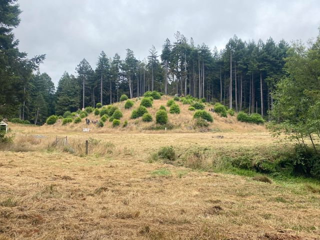 001 Pomeroy Hollow Road, Freshwater, CA 95503