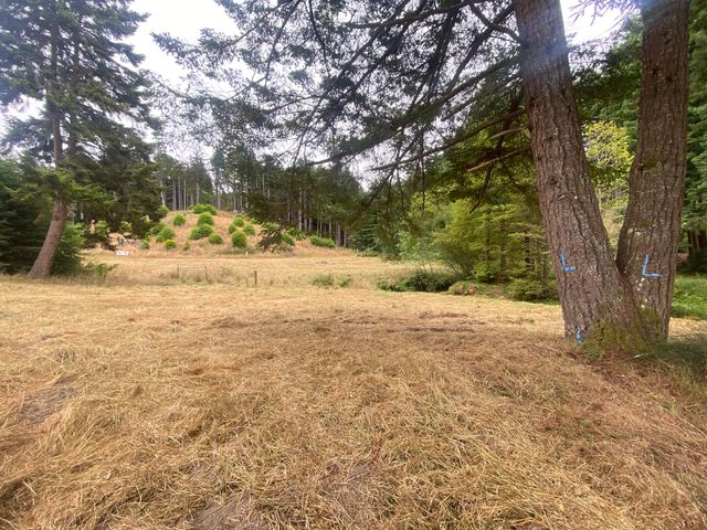 001 Pomeroy Hollow Road, Freshwater, CA 95503