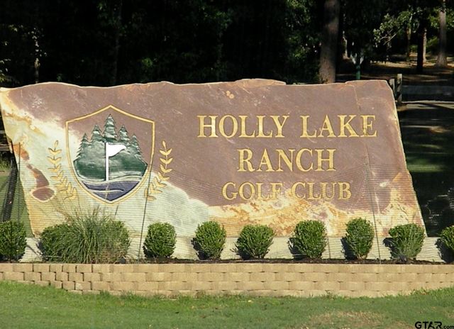 146 Cottonwood Cove, Holly Lake Ranch, TX 75765