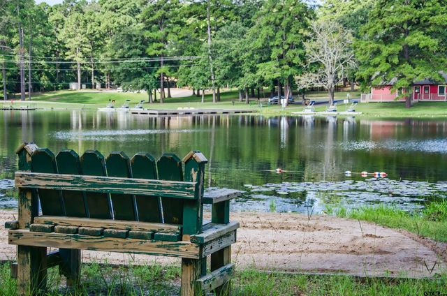146 Cottonwood Cove, Holly Lake Ranch, TX 75765