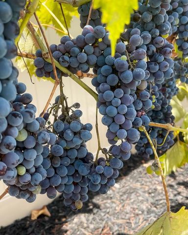 45721 Middle Gate Court, Temecula, CA 92592