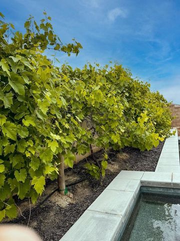 45721 Middle Gate Court, Temecula, CA 92592